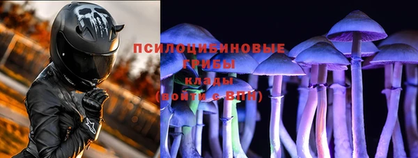 ПСИЛОЦИБИНОВЫЕ ГРИБЫ Балахна