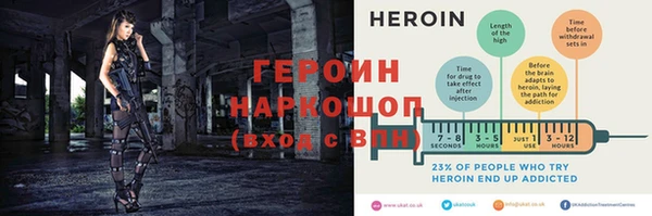 молекула духа Богданович