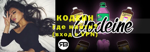 молекула духа Богданович