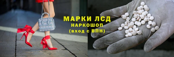 молекула духа Богданович