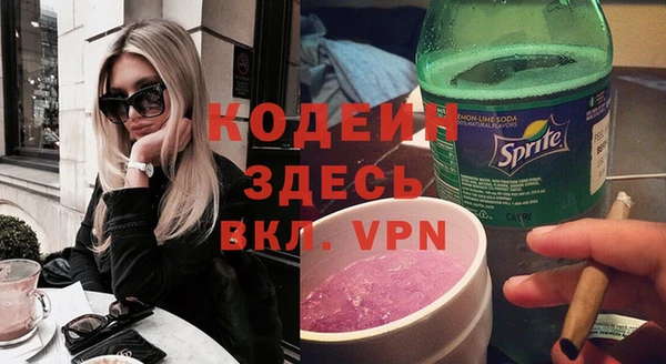 шишки Бородино