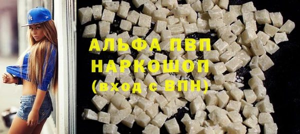 молекула духа Богданович