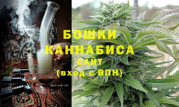 PSILOCYBIN Навашино