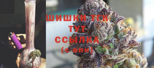 spice Белокуриха