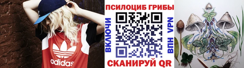 блэк спрут   Велиж  Псилоцибиновые грибы мухоморы 